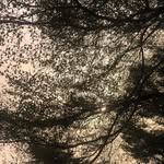 Thomas Winchell - @mannuajain40 - Instagram