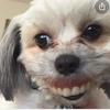 thomas.winchester - @thomas.winchester - TikTok