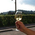 Thomas Windisch - @windi_radebeul - Instagram