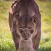 Thomas Windisch - Facebook