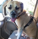 Thomas Windle - Facebook