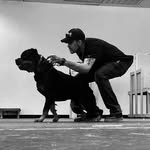 Thomas Windle - @thomasiwindle - Instagram