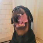Thomas Wines - @twines48 - Instagram