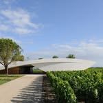 Thomas Wines - @thomas.wines - Instagram