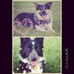 Thomas Winfield - @messagesmcmessages - Instagram