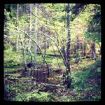 Thomas Winfield - @entandaph - Instagram