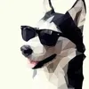 Thomas Wingfield76 - @user565044796 - TikTok