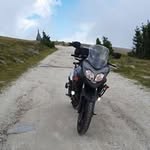 Thomas Winkel - @winkeltho - Instagram