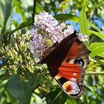 Thomas Winkelmann - @winkelmann.thomas.1971 - Instagram
