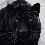 Thomas Winn - @tdubzr0 - Instagram