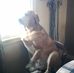 Tom Winslow - Facebook