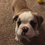 Thomas Winston - @twb.meets.world - Instagram