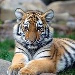 Thomas Winston Athisayaraj - @thomasathisayaraj - Instagram