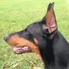 Thomas Winter - @thomas.winter48 - TikTok