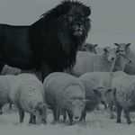 Thomas Winter - @thommy.morti.winter - Instagram