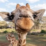 Thomas Winterburn - @twints99 - Instagram