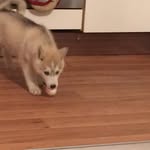 Thomas Winters - @thomas_winters06 - Instagram