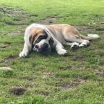 Thomas Winters - @thomaswinters1067 - Instagram