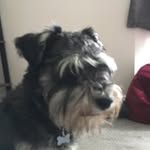 Thomas Winters - @thomasswinters - Instagram