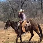 Thomas Winters - @thomas_winters1756 - Instagram