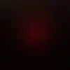 Thomas Wipf - @thomaswipf97 - TikTok