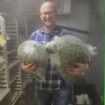 Thomas Stefan Wire - @tom.wire - Instagram