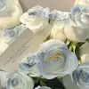 Thomas.world.wired - @thomas.world.wire - TikTok