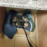 Thomas Wise - @wise3695 - Instagram