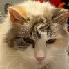 thomasswisher445 - @thomasswisher445 - TikTok