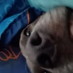 Thomas Withrow - @juggzthekilla - Instagram