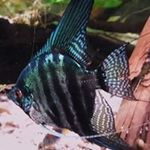 Thomas Witkowski - @thomasw579 - Instagram