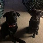 Thomas Witman - @binx1960 - Instagram