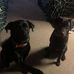 Thomas Witman - Facebook