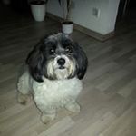 Thomas Witt - @witt_thomas - Instagram