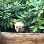 Thomas Witt - @_thomaswitt - Instagram