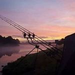 Thomas Witte - @thomas.witte.165 - Instagram