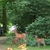 Thomas Wittenberg - Facebook