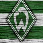 Thomas Wittenberg - @thomas60121962 - Instagram