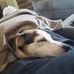 Tom Wittenberg - Facebook