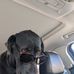 Thomas Wittich - Facebook
