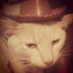 Tomas Wittich - @tomaswittich - Instagram