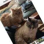 Mark Thomas Wittman - @mark.t.wittman - Instagram