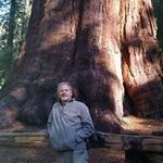 Thomas Wittman - @thomas.wittman - Instagram