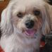 Thomas Witz - Facebook