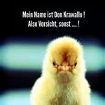 Thomas Witzel - @thomas.witzel - Instagram