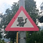 thomas witzel - @t.witzel - Instagram