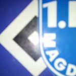 Thomas Witzel - @fcmhsv63 - Instagram