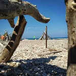 Thomas Wofford - @wofford.thomas - Instagram