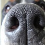 Thomas Wohlfahrt - @thomas.wohlfahrt.5 - Instagram