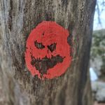 Thomas Wohlfahrt - @thomas.wohlfahrt - Instagram